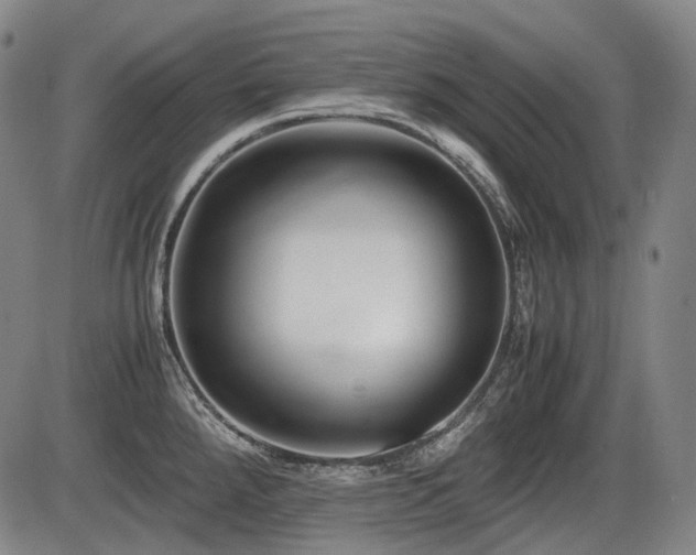 X0000086291288200703301126