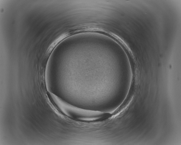 X0000086291289200703301126