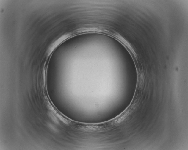 X0000086291290200703301126