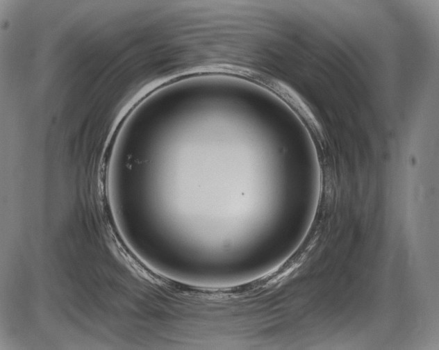 X0000086291292200703301126
