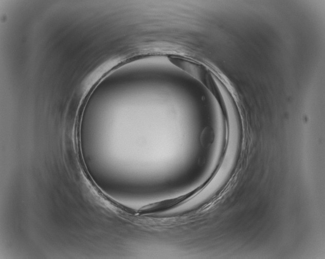 X0000086291293200703301126