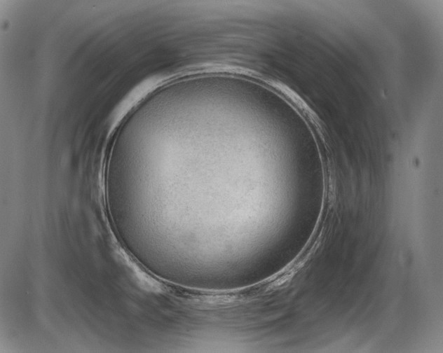 X0000086291294200703301126