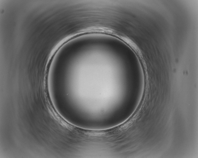 X0000086291296200703301126