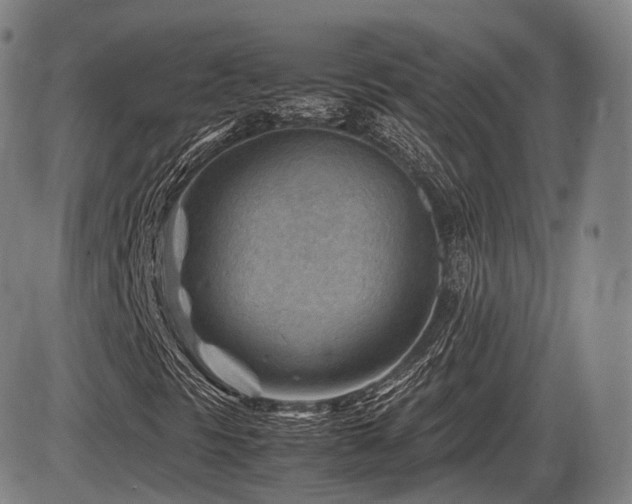 X0000086291297200703301125