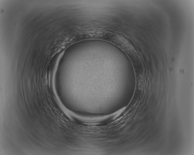 X0000086291298200703301125