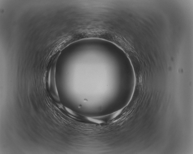 X0000086291300200703301125