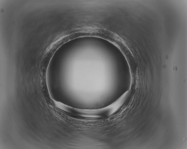 X0000086291304200703301125