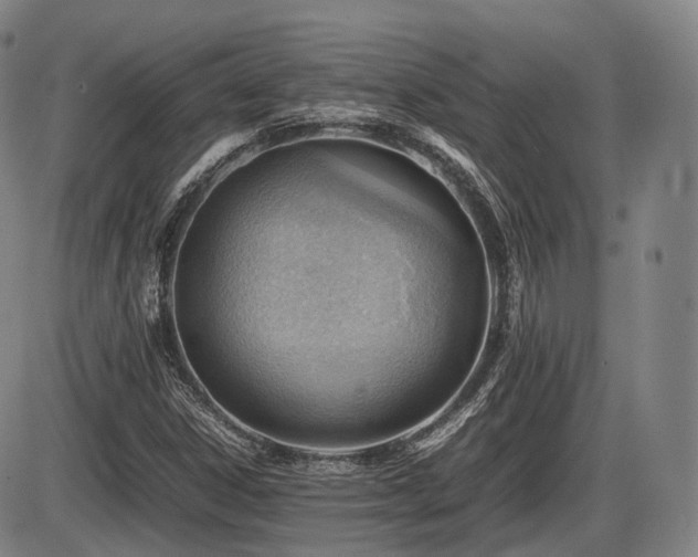 X0000086291306200703301125