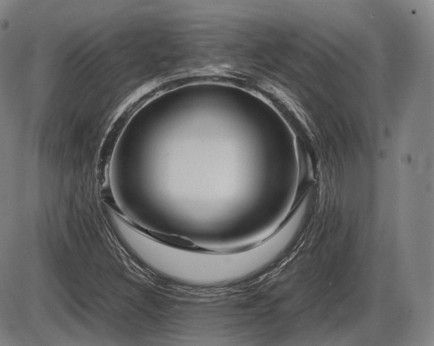 X0000086291308200703301125