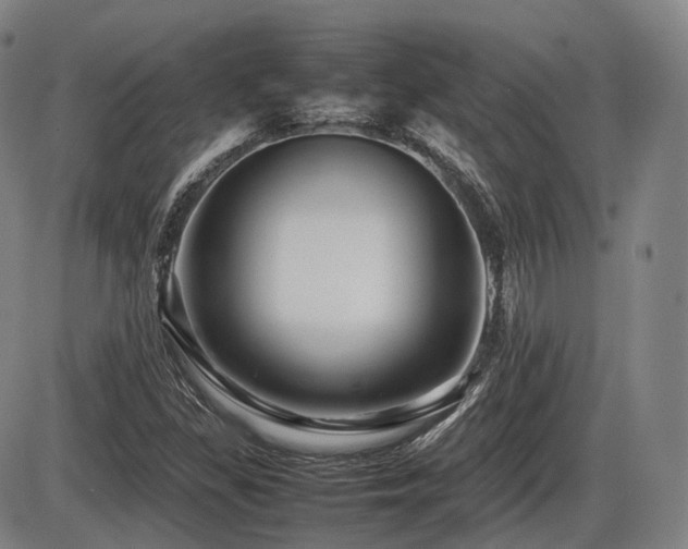 X0000086291309200703301125