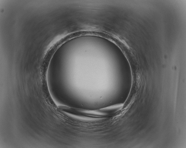 X0000086291311200703301125