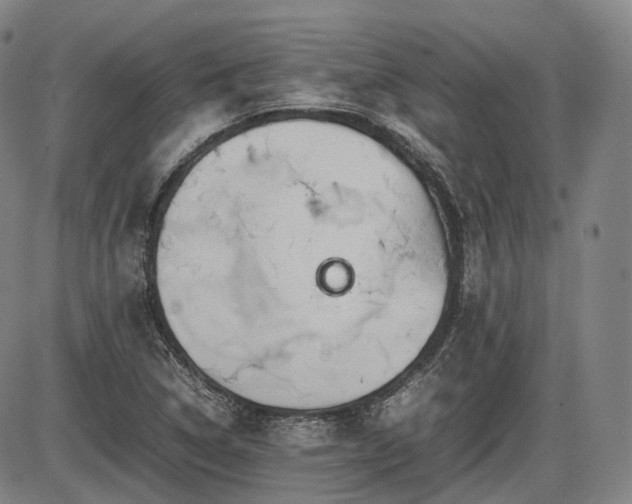 X0000086291314200703301125