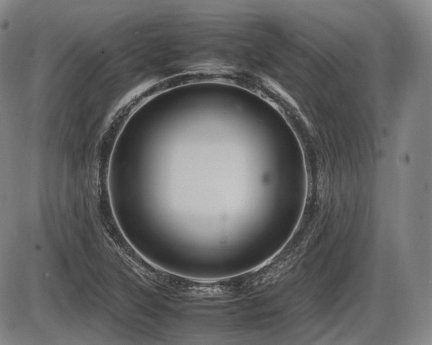 X0000086291315200703301126