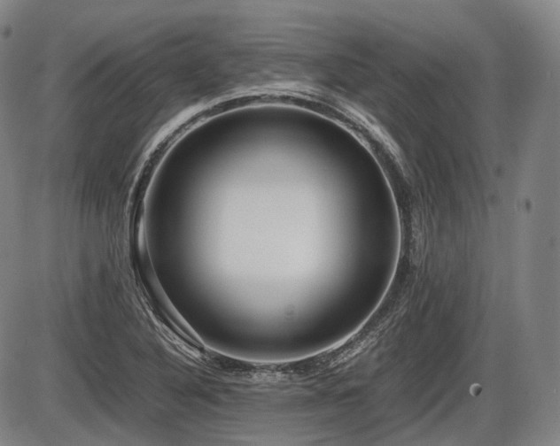 X0000086291316200703301126