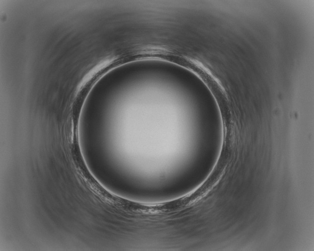 X0000086291317200703301126