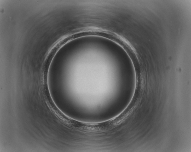 X0000086291318200703301126