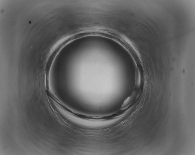 X0000086291320200703301126