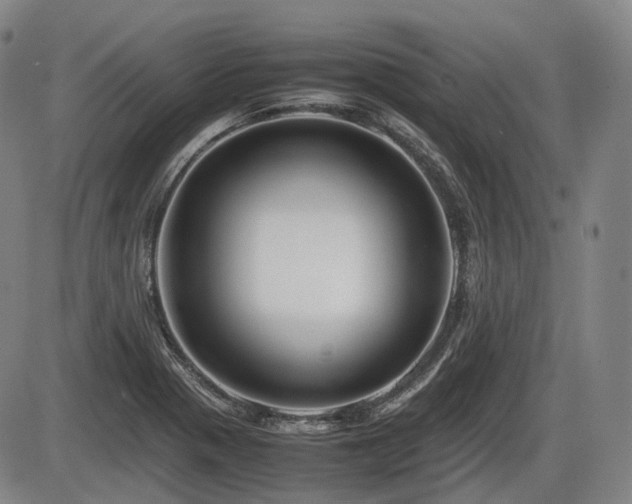 X0000086291321200703301126