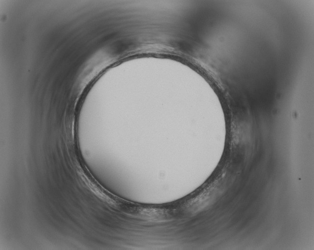 X0000086291322200703301126