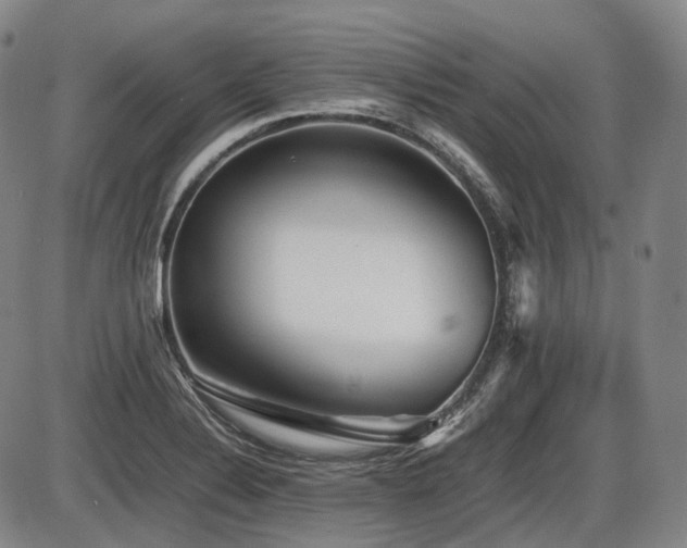 X0000086291324200703301126