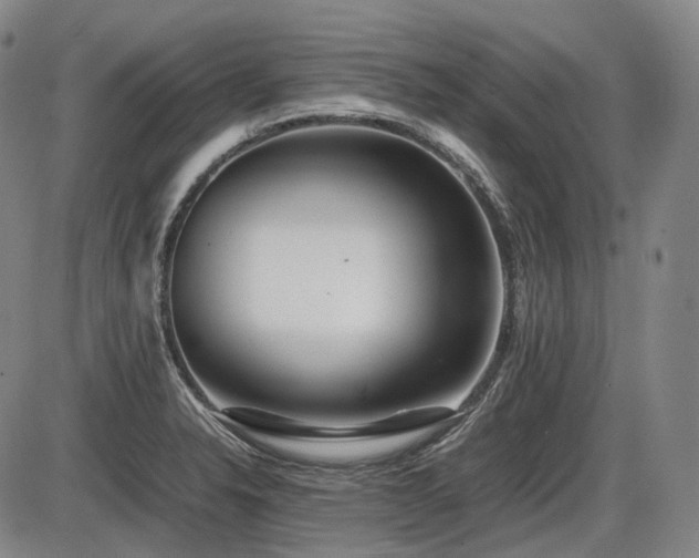 X0000086291326200703301126