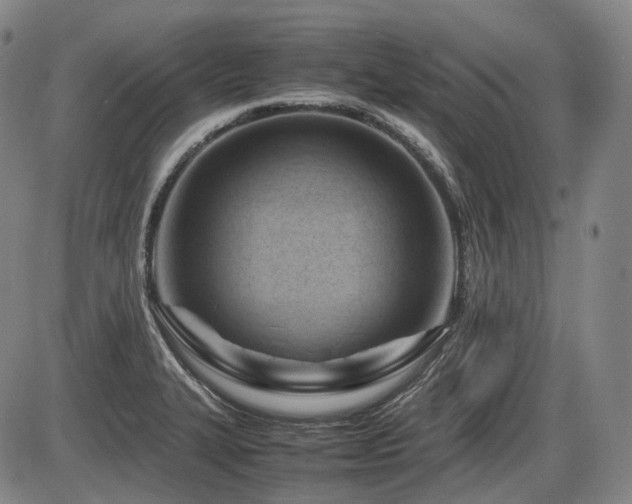 X0000086291327200703301126