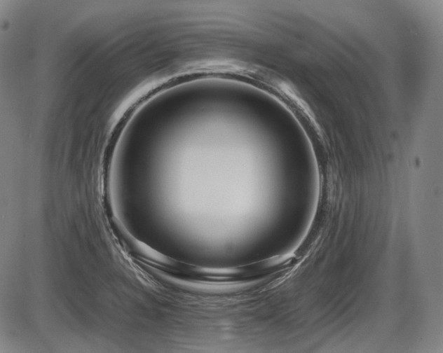 X0000086291328200703301126