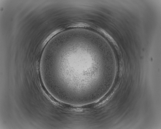 X0000086291329200703301126