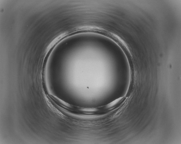X0000086291330200703301126