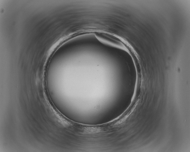 X0000086291333200703301126