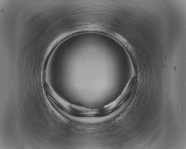X0000086291334200703301126