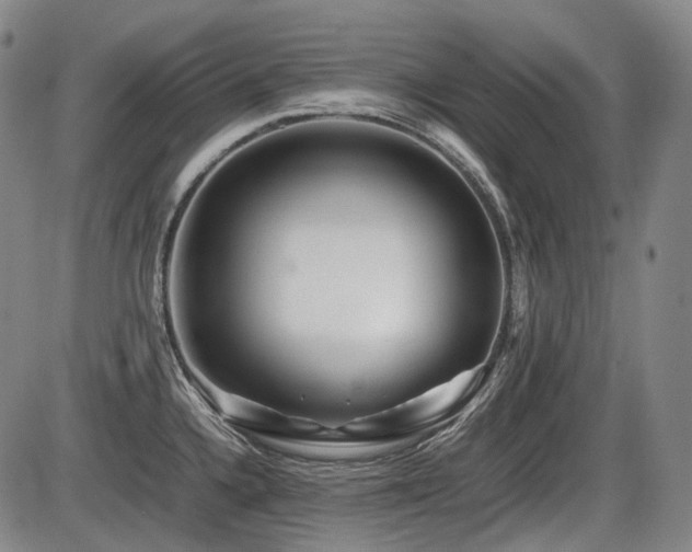 X0000086291336200703301126