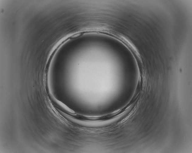 X0000086291340200703301126