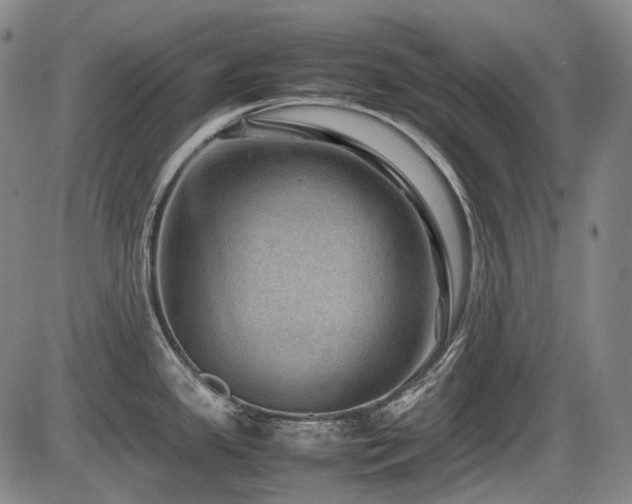X0000086291341200703301126