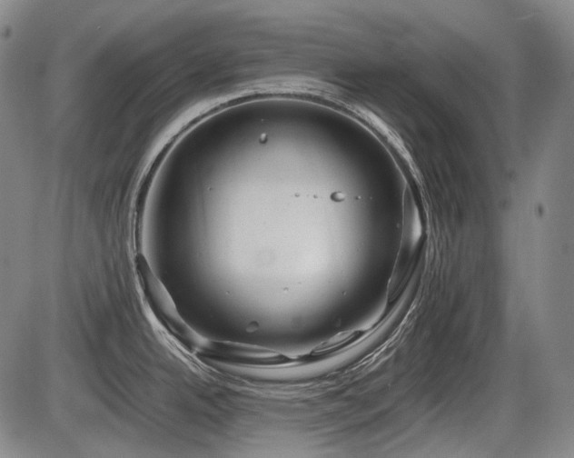 X0000086291342200703301126