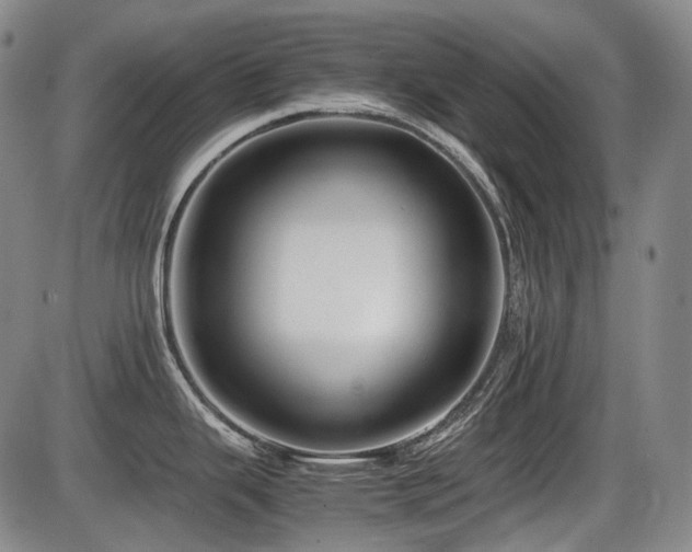 X0000086291343200703301126