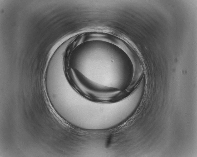 X0000086291344200703301126