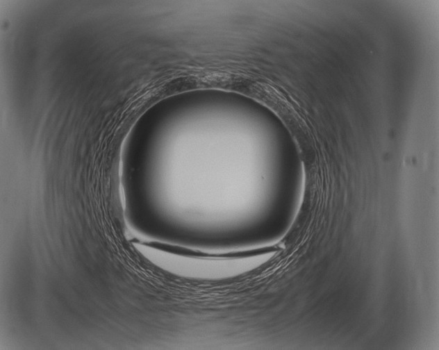 X0000086291345200703301125