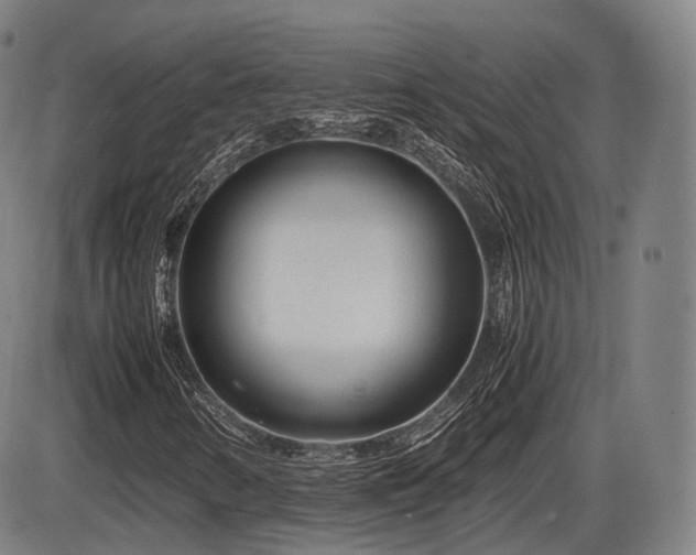 X0000086291346200703301125