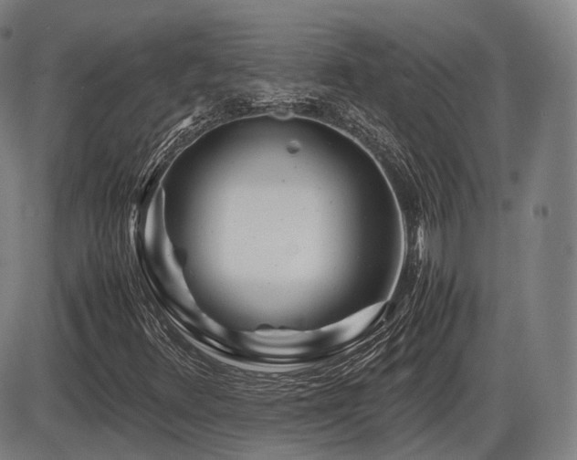 X0000086291348200703301125
