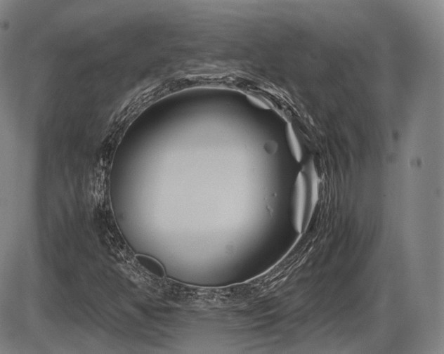 X0000086291350200703301125