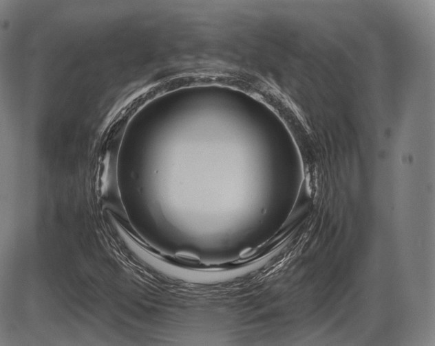 X0000086291352200703301125