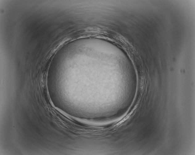 X0000086291353200703301125