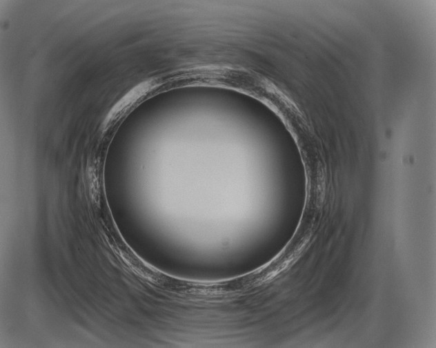 X0000086291354200703301125
