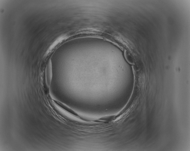 X0000086291355200703301125