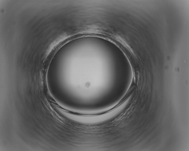 X0000086291356200703301125