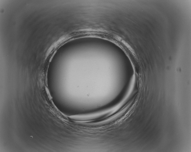 X0000086291357200703301125