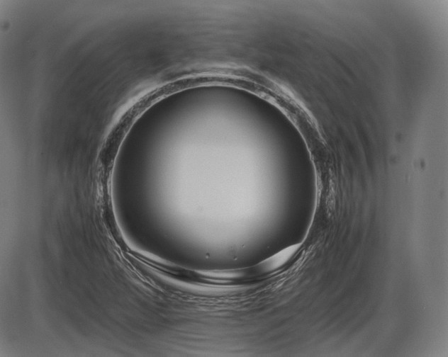 X0000086291360200703301125