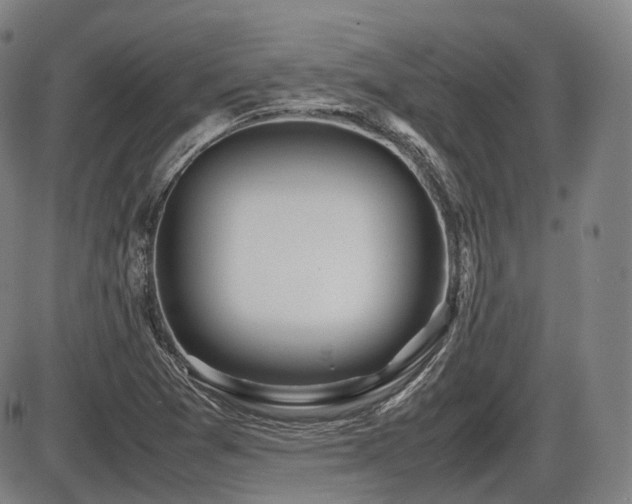 X0000086291361200703301125