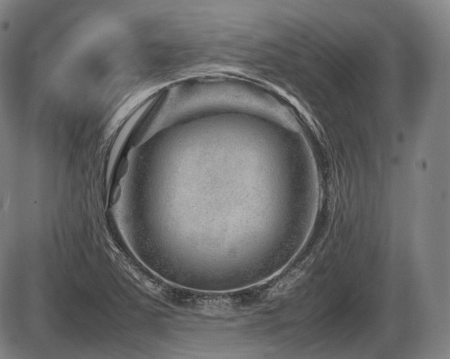 X0000086291363200703301125